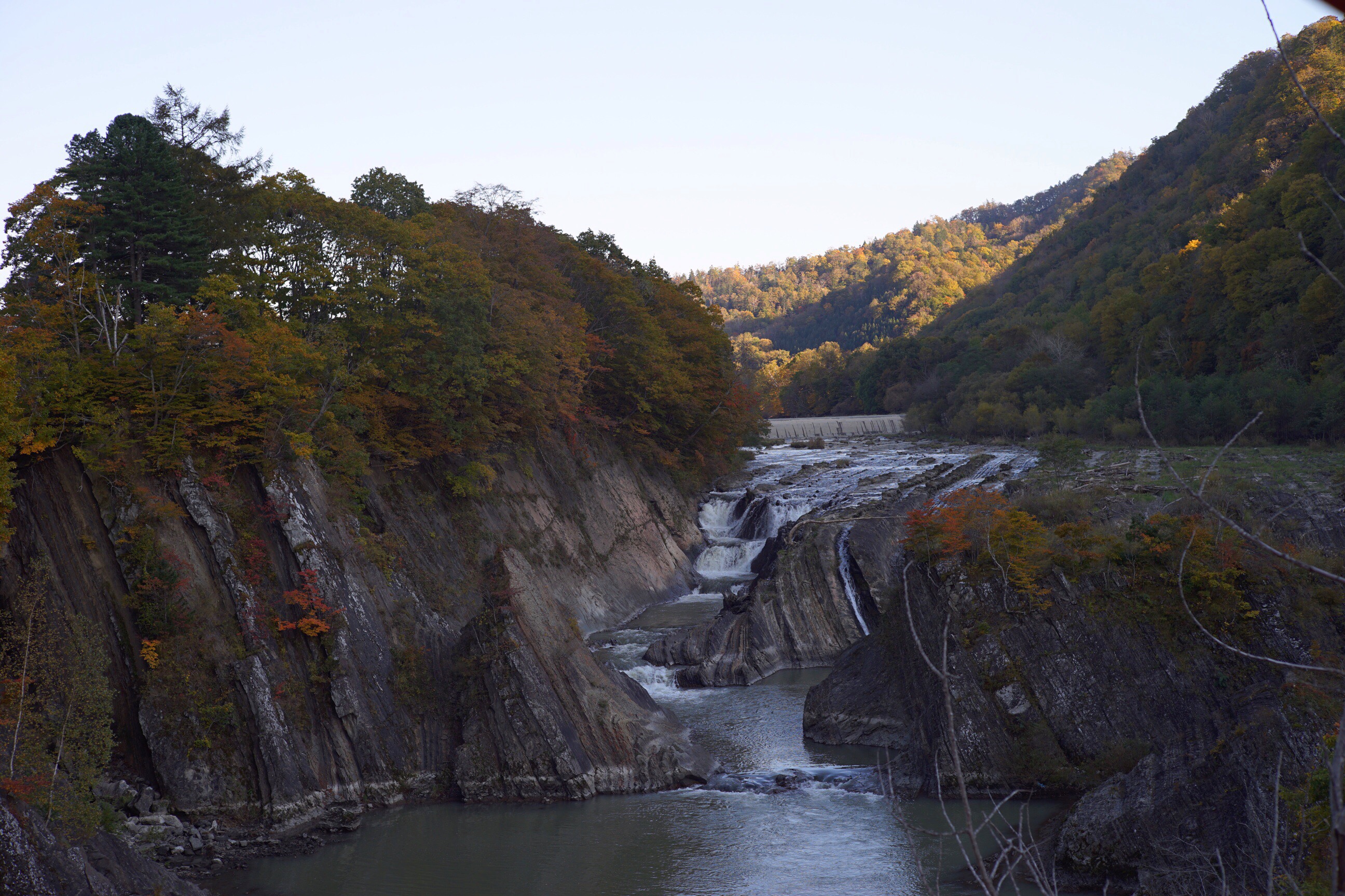 滝の上公園 紅葉 16年 秋 北海道